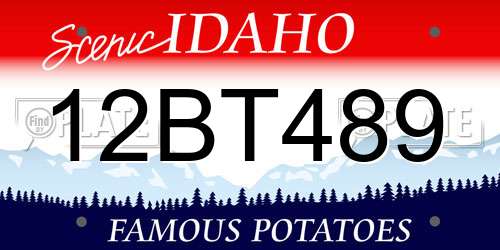 12BT489 Idaho License Plate