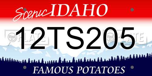 12TS205 Idaho License Plate