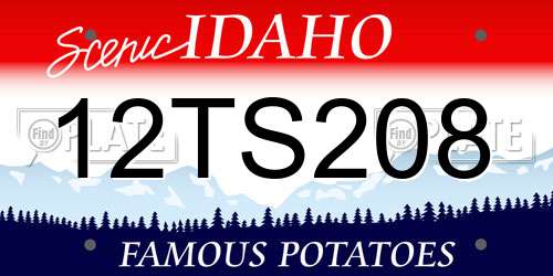 12TS208 Idaho License Plate