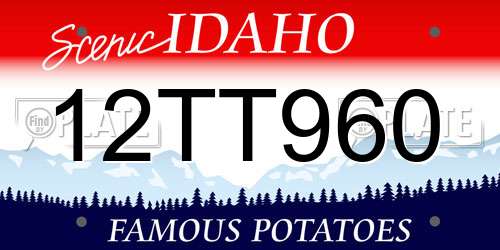 12TT960 Idaho License Plate