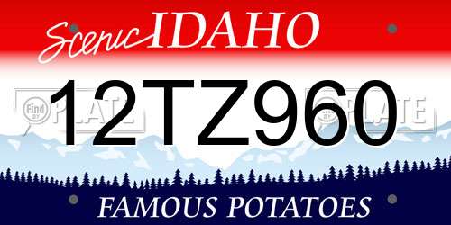 12TZ960 Idaho License Plate