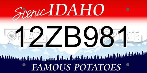 12ZB981 Idaho License Plate