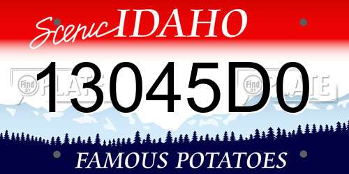 13045D0 Idaho License Plate