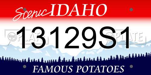 13129S1 Idaho License Plate