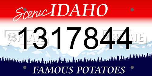 1317844 Idaho License Plate