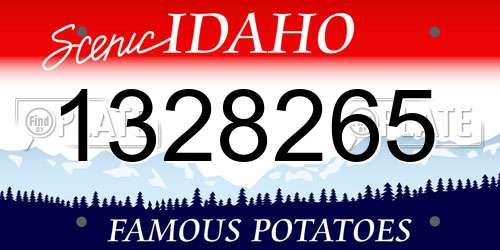 1328265 Idaho License Plate