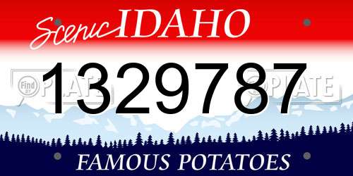 1329787 Idaho License Plate
