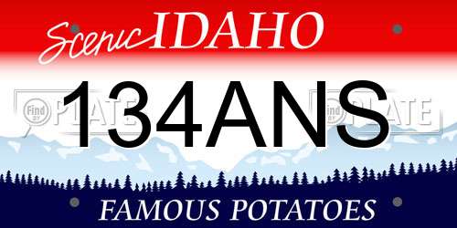 134ANS Idaho License Plate