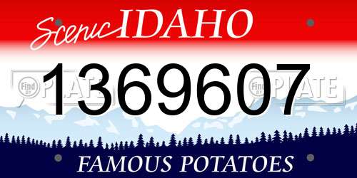 1369607 Idaho License Plate