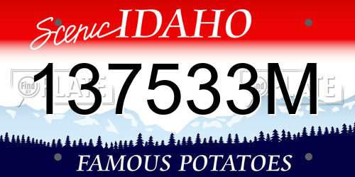 137533M Idaho License Plate