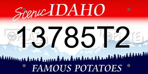 13785T2 Idaho License Plate
