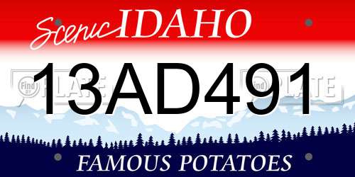 13AD491 Idaho License Plate