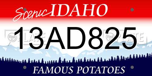 13AD825 Idaho License Plate