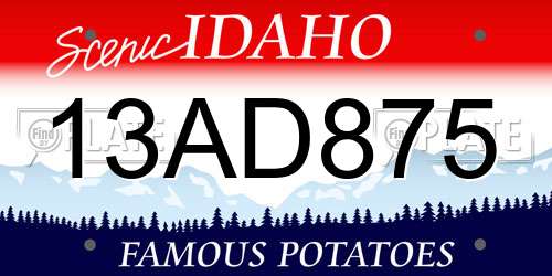 13AD875 Idaho License Plate
