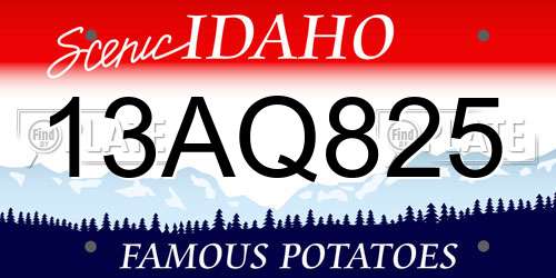 13AQ825 Idaho License Plate