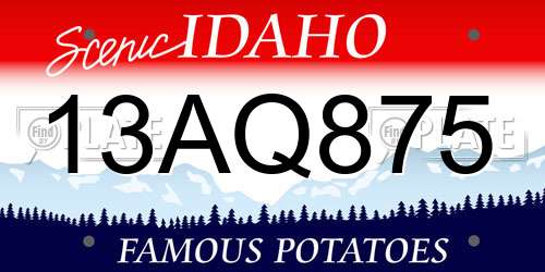 13AQ875 Idaho License Plate