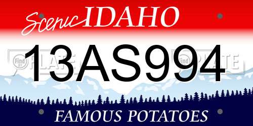 13AS994 Idaho License Plate