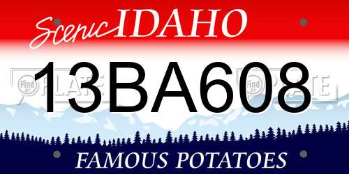 13BA608 Idaho License Plate