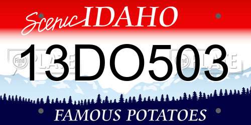 13DO503 Idaho License Plate