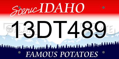 13DT489 Idaho License Plate