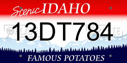 13DT784 Idaho License Plate