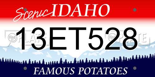 13ET528 Idaho License Plate