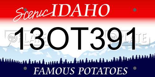 13OT391 Idaho License Plate
