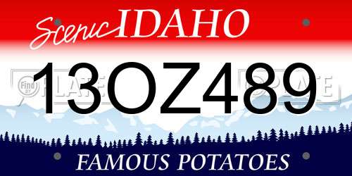 13OZ489 Idaho License Plate