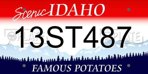 13ST487 Idaho License Plate