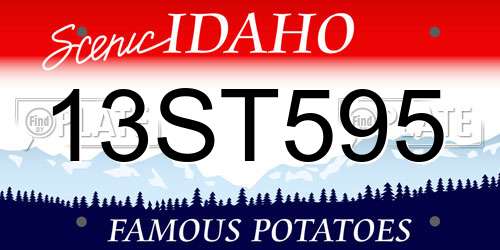 13ST595 Idaho License Plate