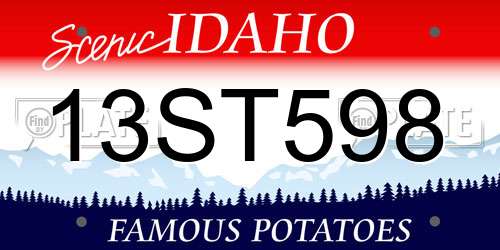13ST598 Idaho License Plate