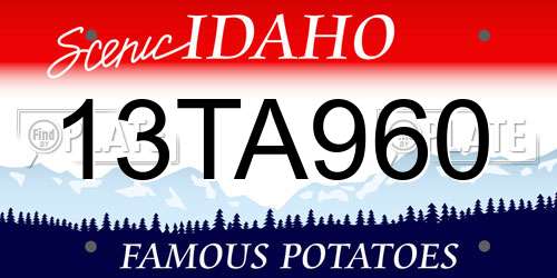 13TA960 Idaho License Plate