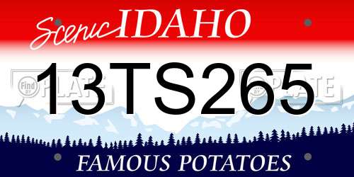 13TS265 Idaho License Plate