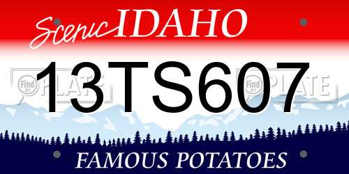 13TS607 Idaho License Plate