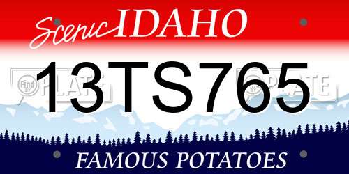 13TS765 Idaho License Plate