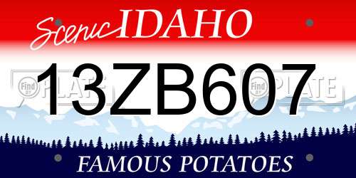 13ZB607 Idaho License Plate