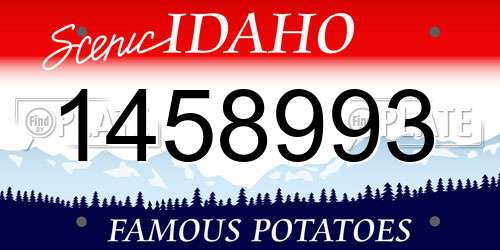 1458993 Idaho License Plate