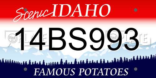 14BS993 Idaho License Plate