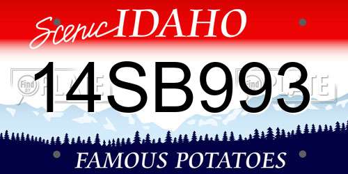 14SB993 Idaho License Plate