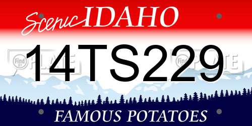 14TS229 Idaho License Plate