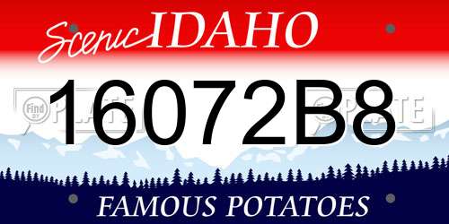 16072B8 Idaho License Plate