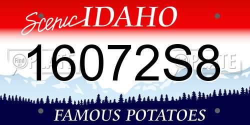 16072S8 Idaho License Plate