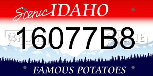 16077B8 Idaho License Plate