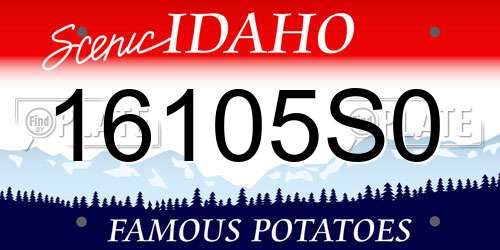 16105S0 Idaho License Plate