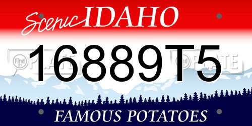 16889T5 Idaho License Plate