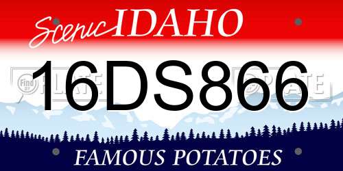 16DS866 Idaho License Plate