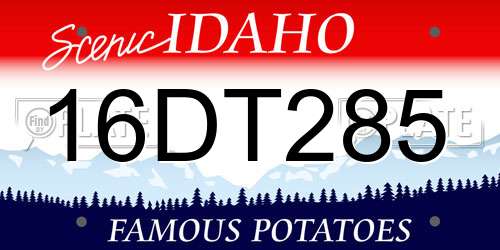 16DT285 Idaho License Plate