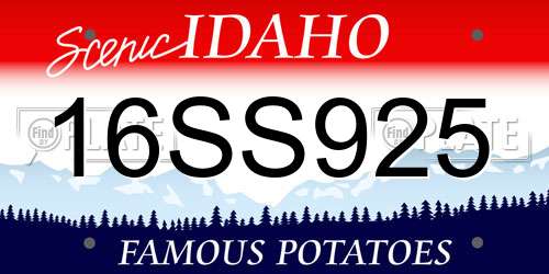 16SS925 Idaho License Plate