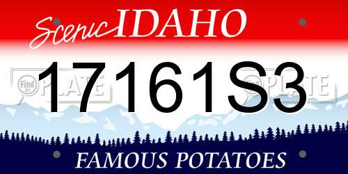 17161S3 Idaho License Plate