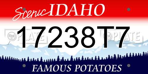 17238T7 Idaho License Plate